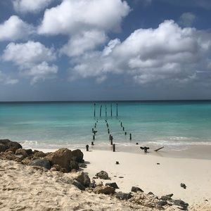 Meet your Posher, Arleen